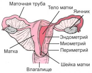 лечение рака эндометрия за границей